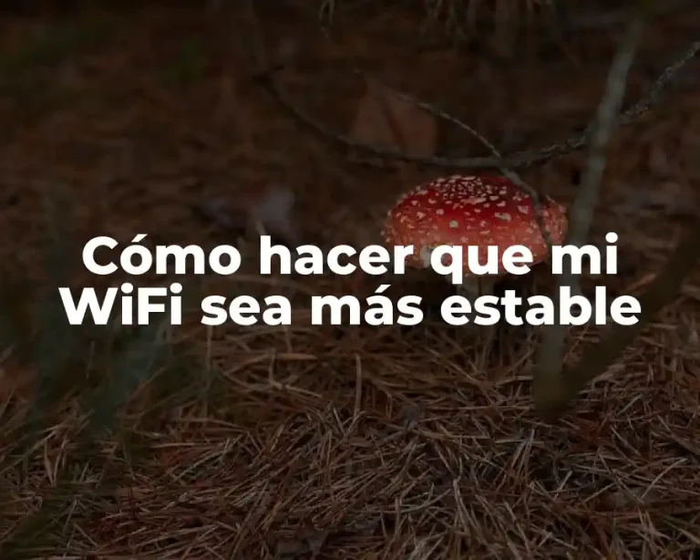 Cómo hacer que mi WiFi sea más estable