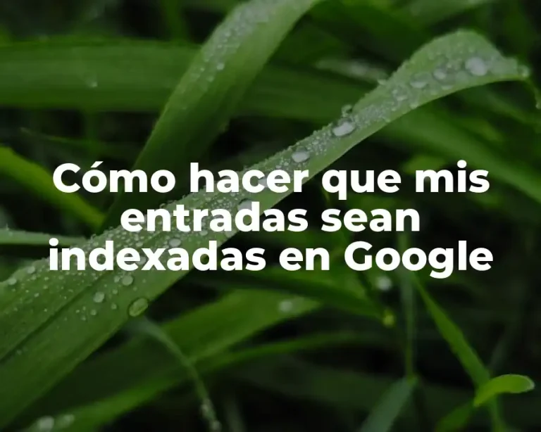 Cómo hacer que mis entradas sean indexadas en Google
