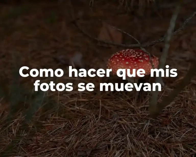 Como hacer que mis fotos se muevan