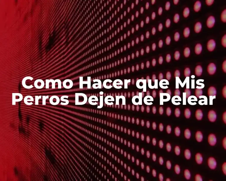 Como Hacer que Mis Perros Dejen de Pelear