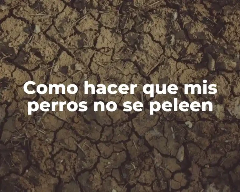 Como hacer que mis perros no se peleen