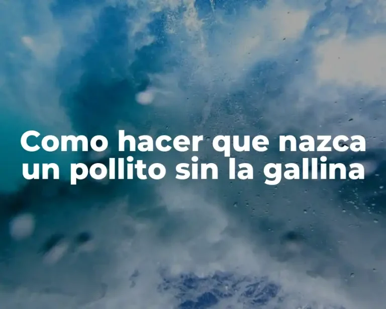 Como hacer que nazca un pollito sin la gallina