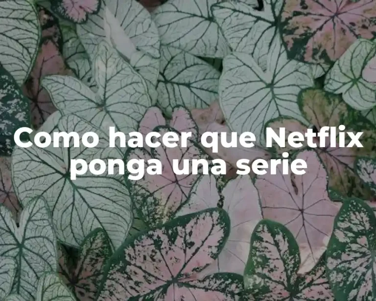 Como hacer que Netflix ponga una serie