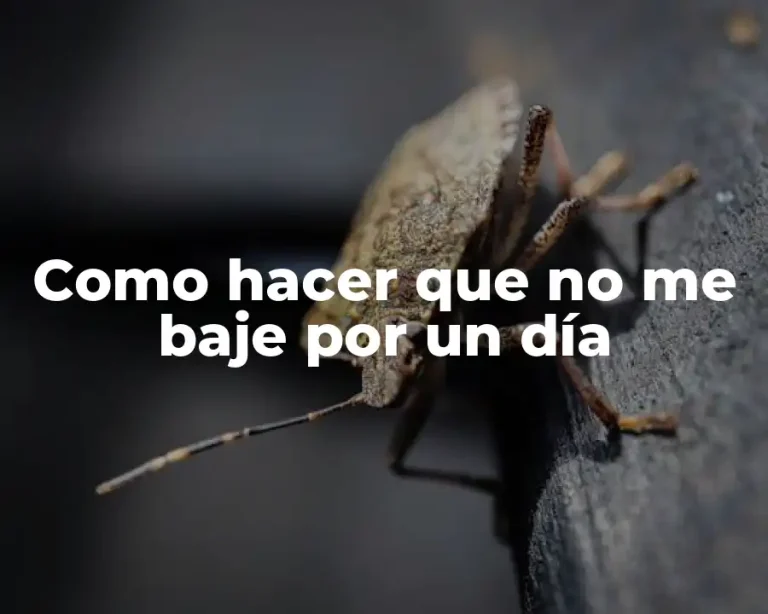 Como hacer que no me baje por un día