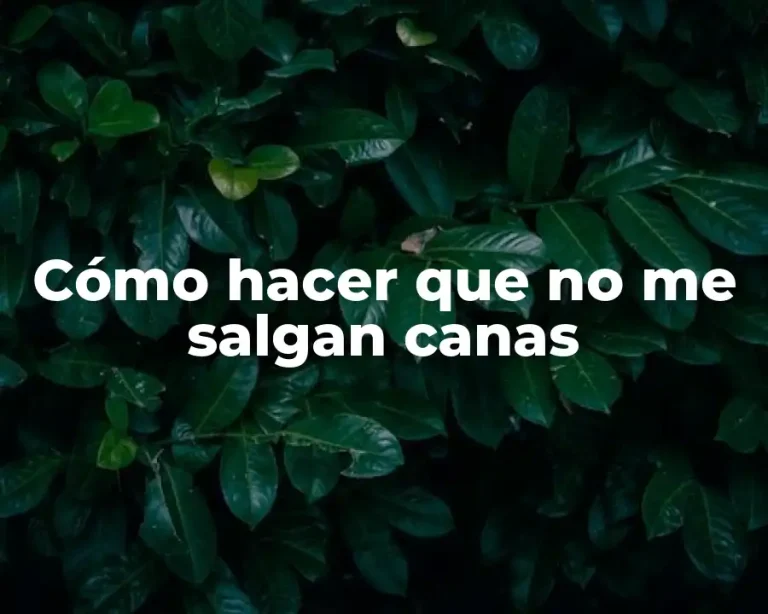 Cómo hacer que no me salgan canas