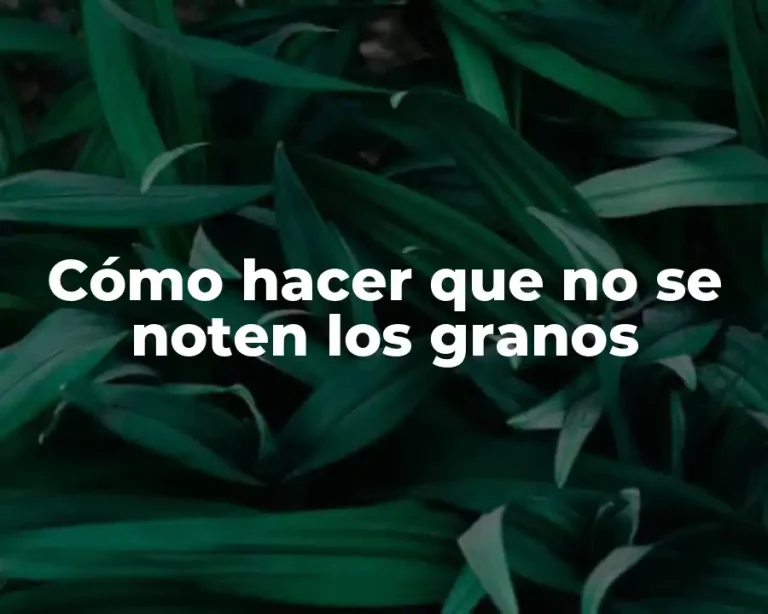 Cómo hacer que no se noten los granos