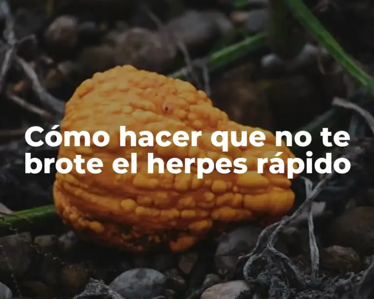 Cómo hacer que no te brote el herpes rápido