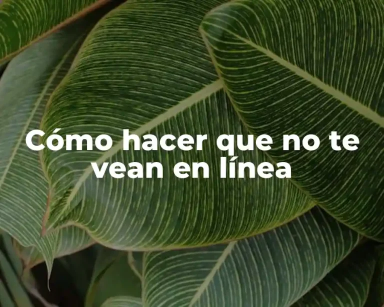 Cómo hacer que no te vean en línea