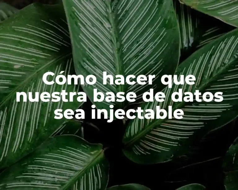 Cómo hacer que nuestra base de datos sea injectable