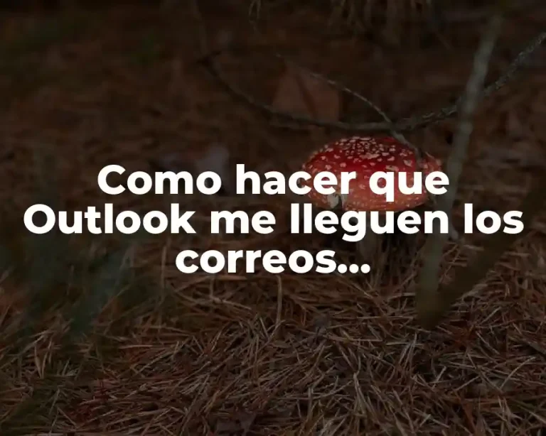 Como hacer que Outlook me lleguen los correos inmediatamente