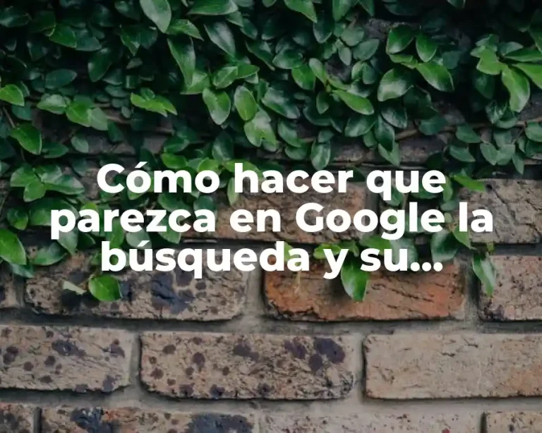 Cómo hacer que parezca en Google la búsqueda y su resultado