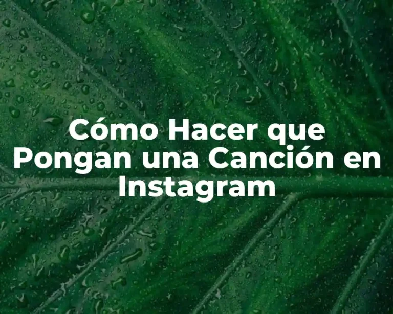 Cómo Hacer que Pongan una Canción en Instagram