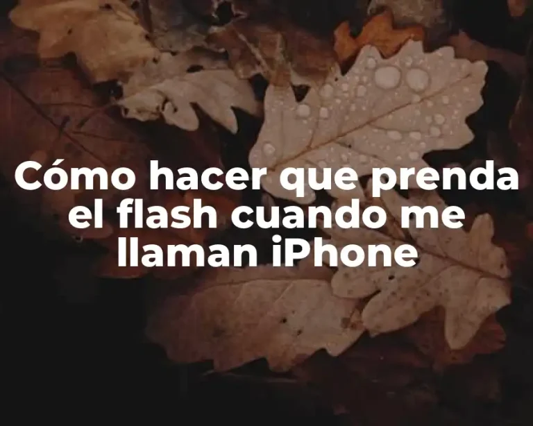 Cómo hacer que prenda el flash cuando me llaman iPhone