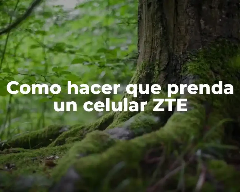 Como hacer que prenda un celular ZTE
