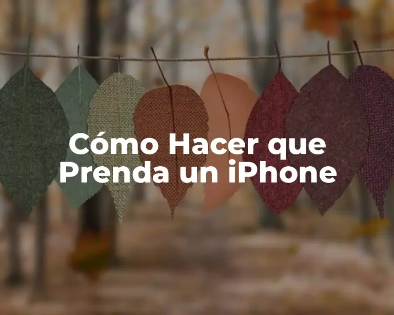 Cómo Hacer que Prenda un iPhone