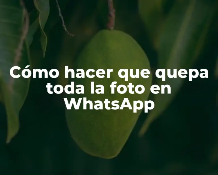 Cómo hacer que quepa toda la foto en WhatsApp