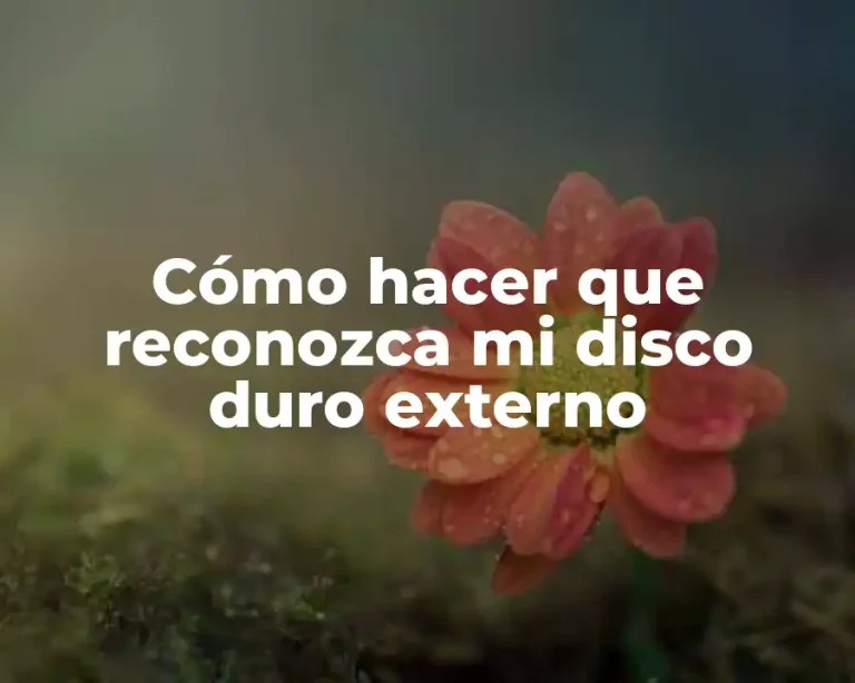 Cómo hacer que reconozca mi disco duro externo