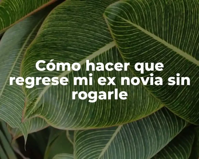 Cómo hacer que regrese mi ex novia sin rogarle