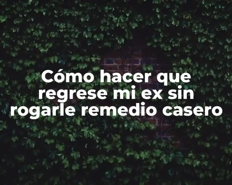 Cómo hacer que regrese mi ex sin rogarle remedio casero