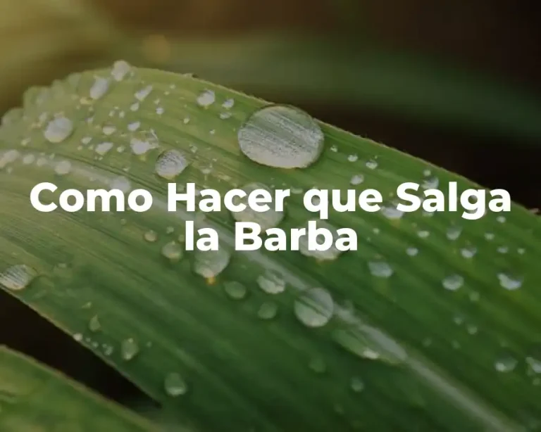 Como Hacer que Salga la Barba