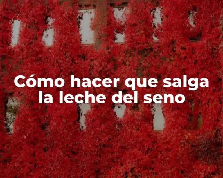 Cómo hacer que salga la leche del seno