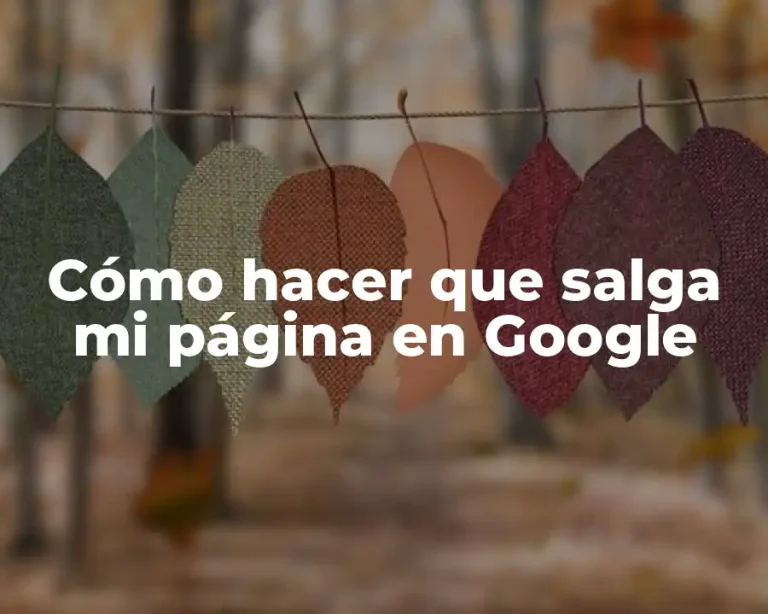 Cómo hacer que salga mi página en Google
