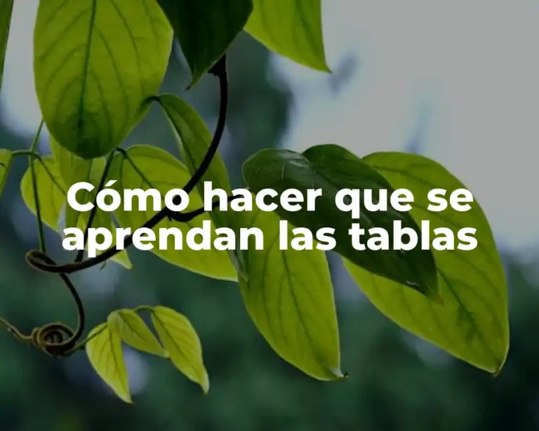 Cómo hacer que se aprendan las tablas
