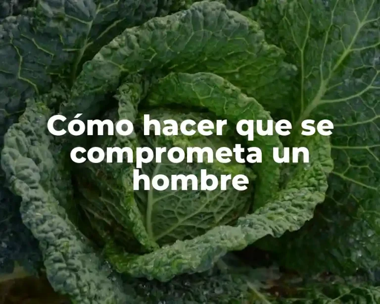 Cómo hacer que se comprometa un hombre