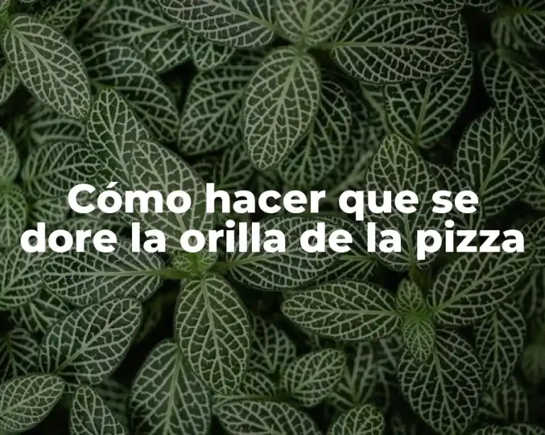 Cómo hacer que se dore la orilla de la pizza