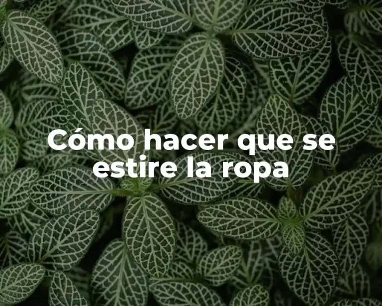 Cómo hacer que se estire la ropa