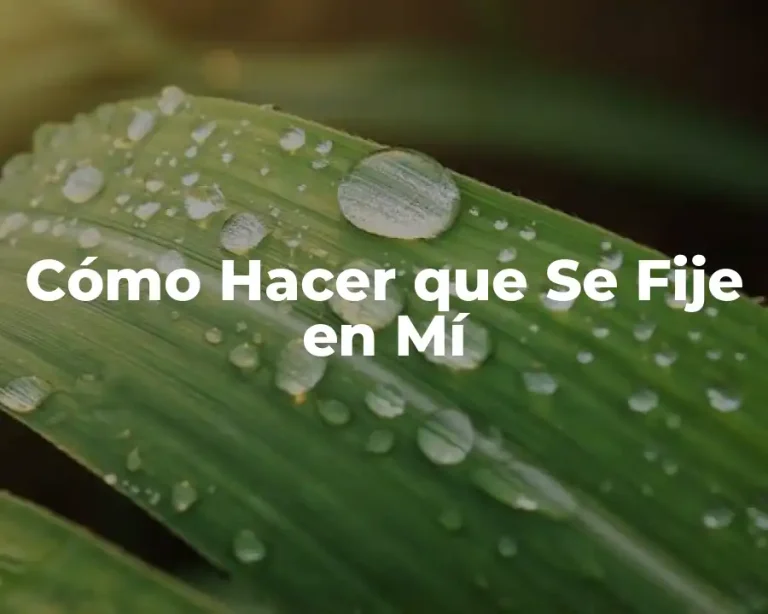 Cómo Hacer que Se Fije en Mí