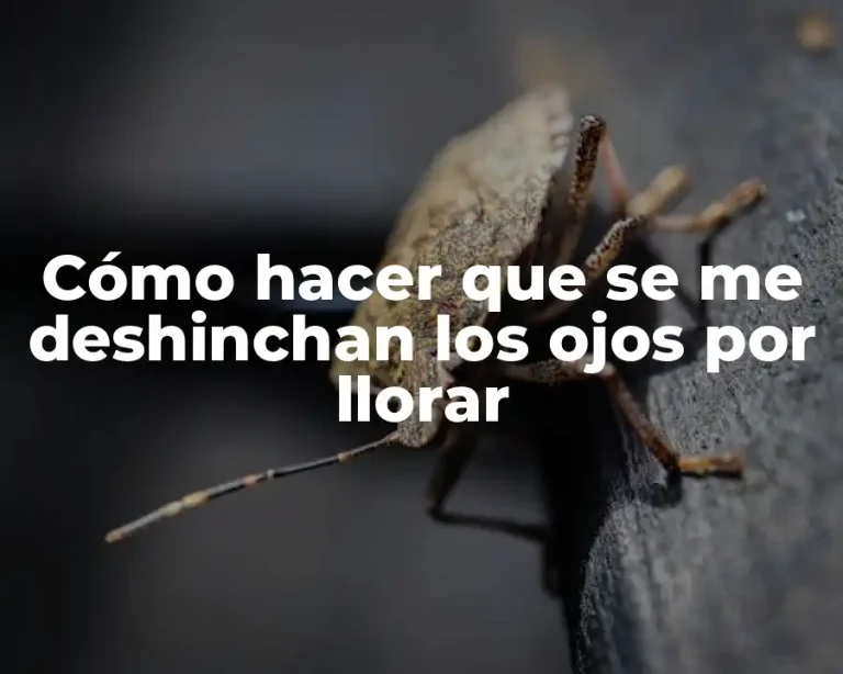 Cómo hacer que se me deshinchan los ojos por llorar