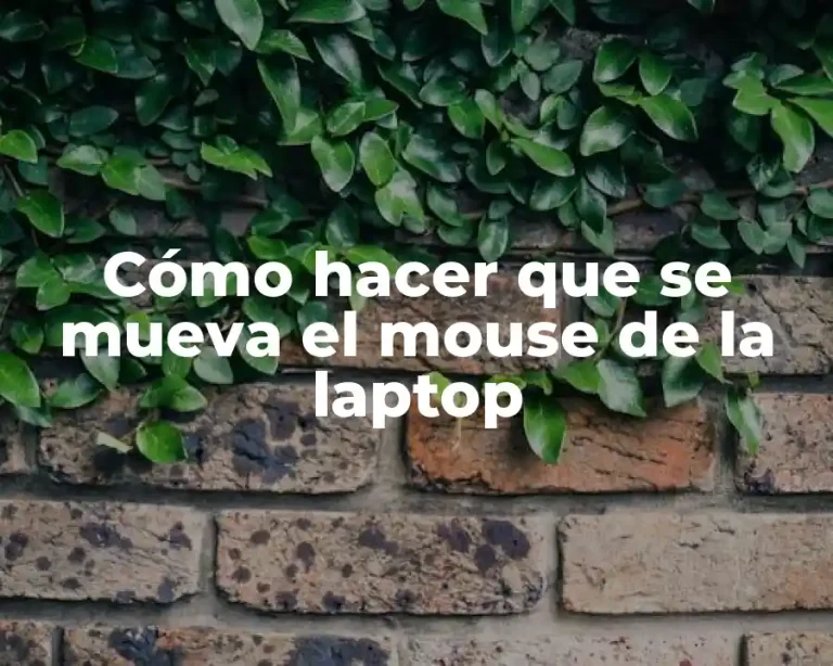 Cómo hacer que se mueva el mouse de la laptop