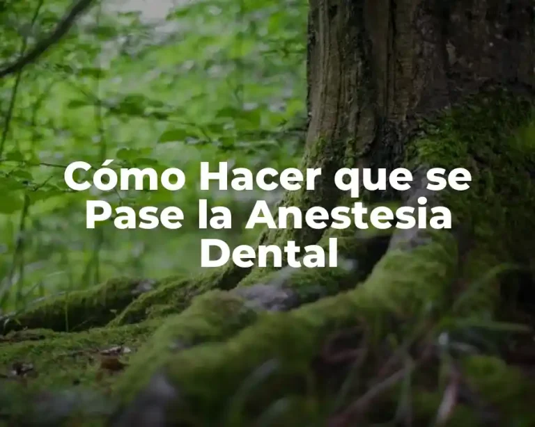 Cómo Hacer que se Pase la Anestesia Dental