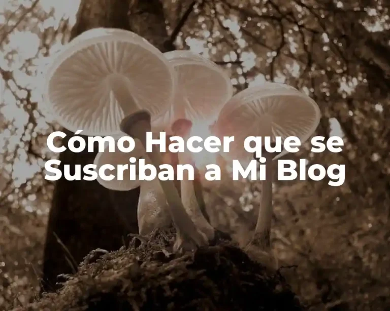 Cómo Hacer que se Suscriban a Mi Blog