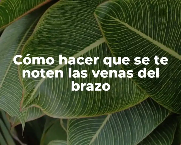 Cómo hacer que se te noten las venas del brazo