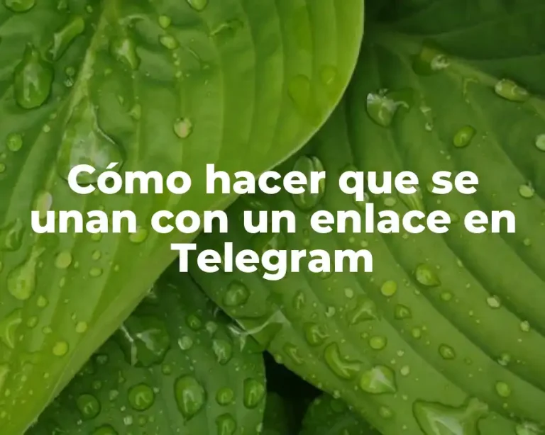 Cómo hacer que se unan con un enlace en Telegram