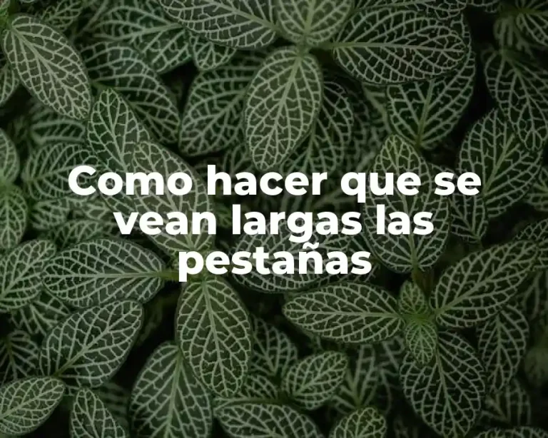 Como hacer que se vean largas las pestañas