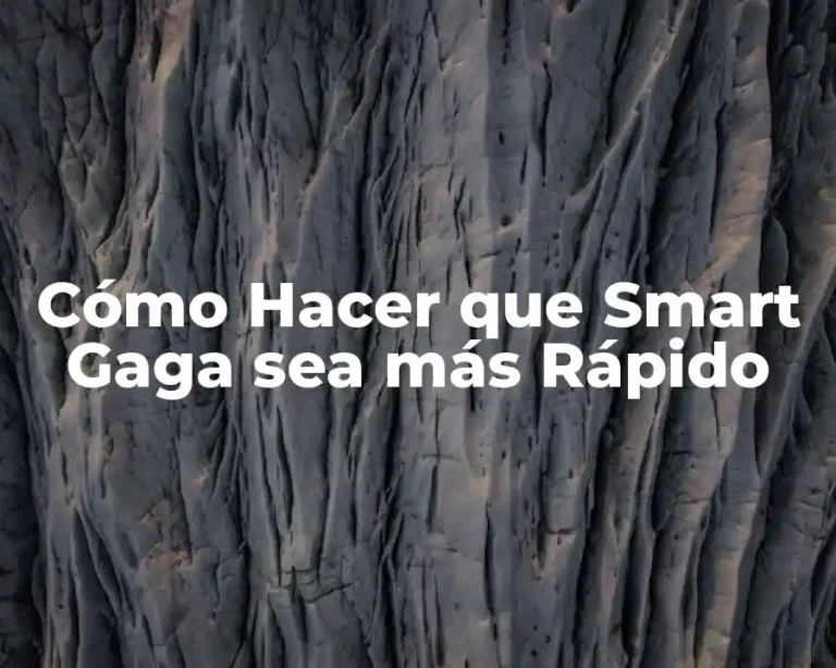 Cómo Hacer que Smart Gaga sea más Rápido