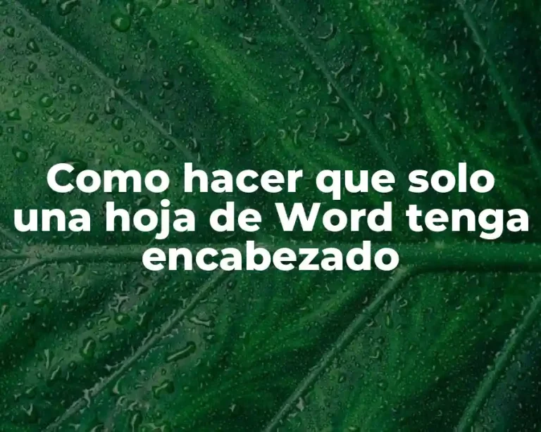 Como hacer que solo una hoja de Word tenga encabezado