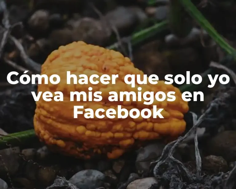Cómo hacer que solo yo vea mis amigos en Facebook