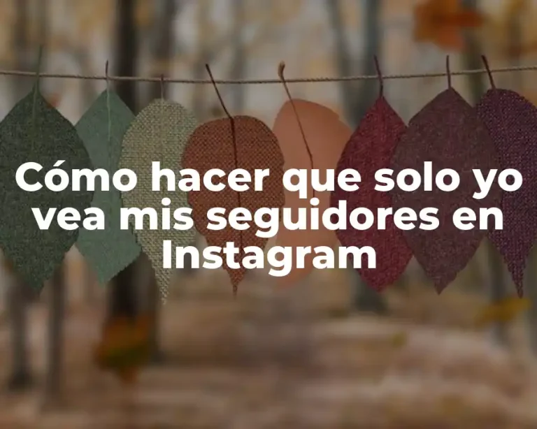 Cómo hacer que solo yo vea mis seguidores en Instagram