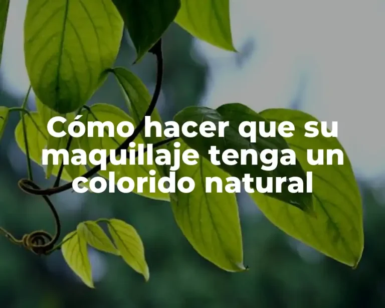 Cómo hacer que su maquillaje tenga un colorido natural