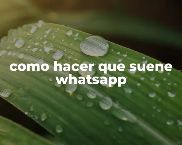 como hacer que suene whatsapp