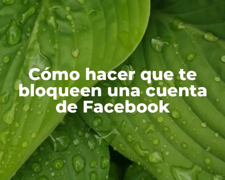 Cómo hacer que te bloqueen una cuenta de Facebook