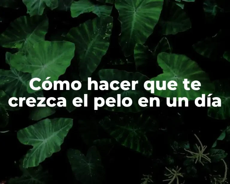 Cómo hacer que te crezca el pelo en un día