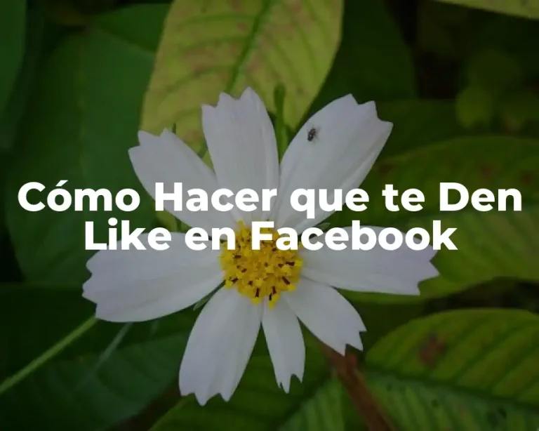 Cómo Hacer que te Den Like en Facebook