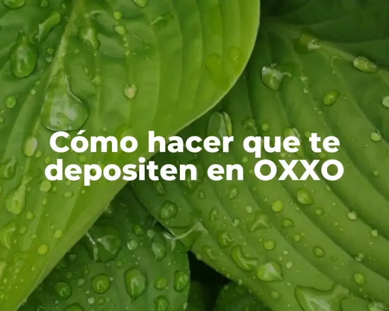 Cómo hacer que te depositen en OXXO