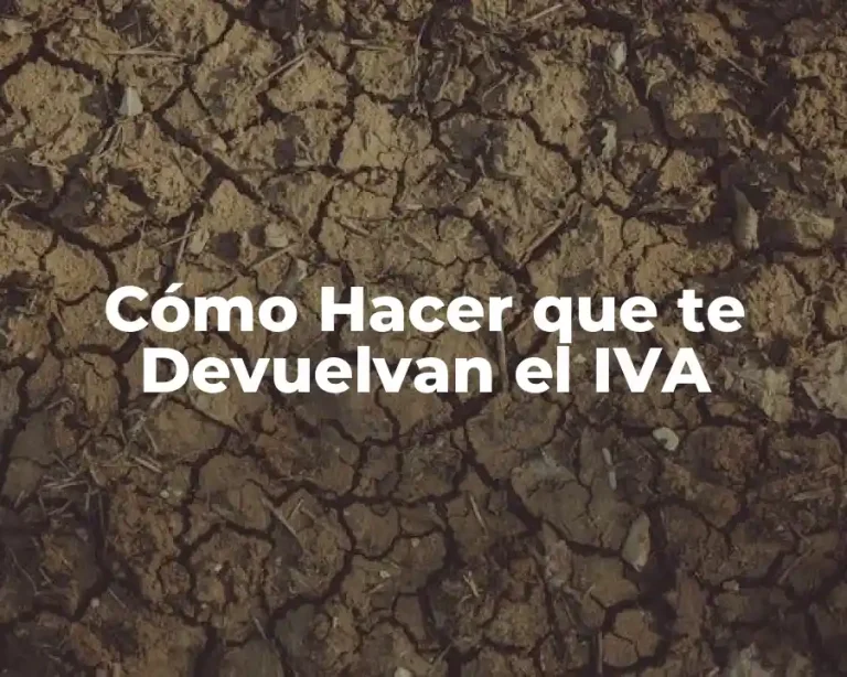 Cómo Hacer que te Devuelvan el IVA