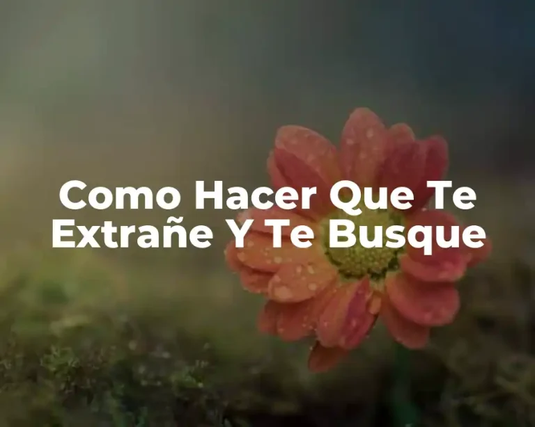 Como Hacer Que Te Extrañe Y Te Busque